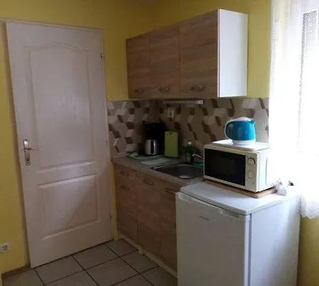 Guest house Kissvendeghaz